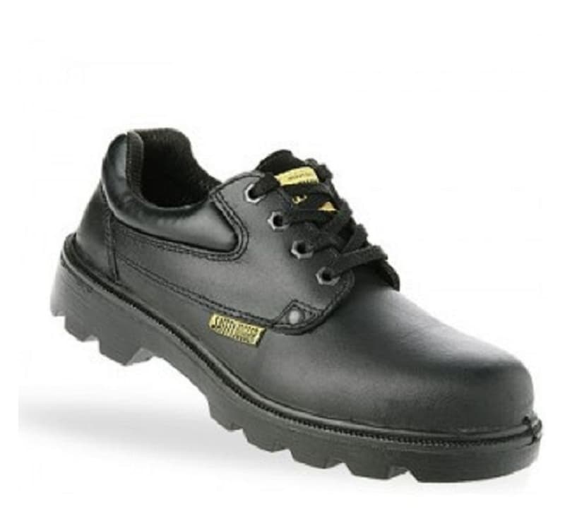 Molieres S3 Basa X1110 38 À 47